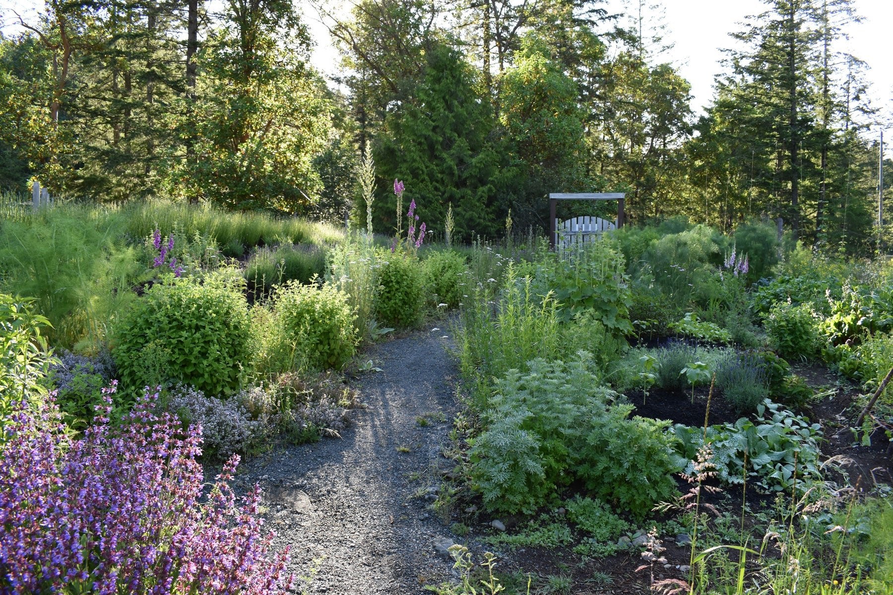 What is Permaculture? - Essential Aura Aromatics