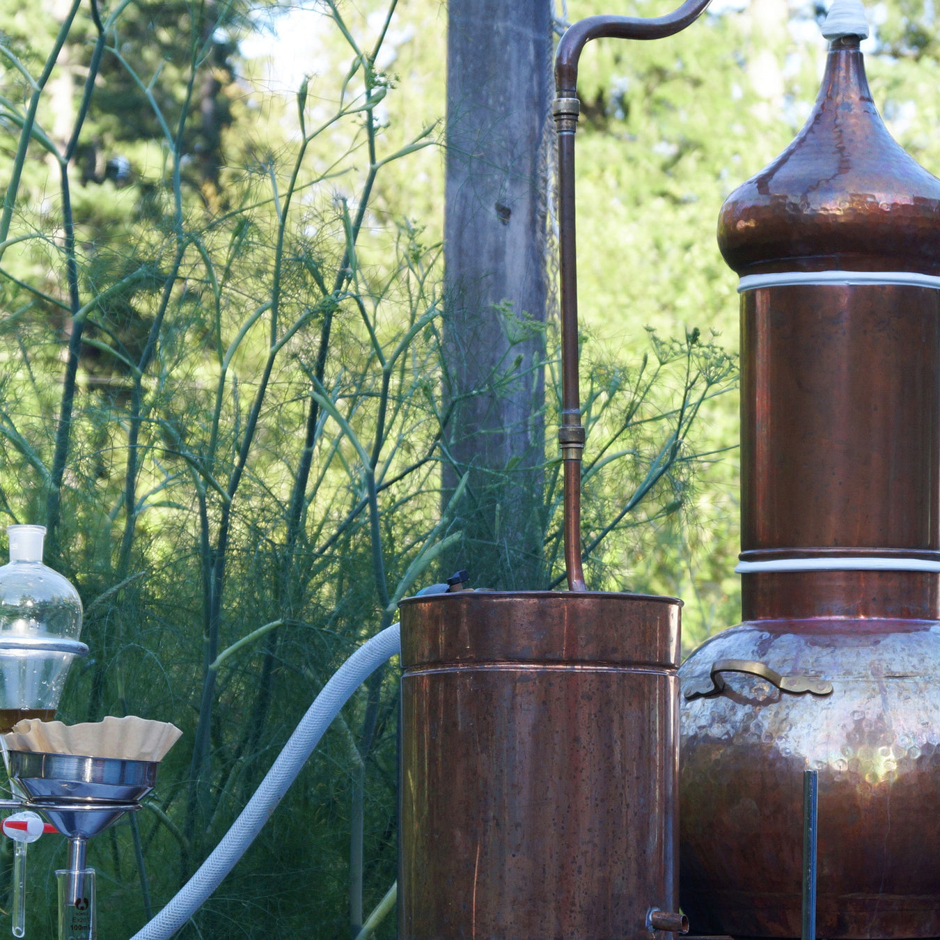 copper alembic still used to distill organic hydrosols from essential aura