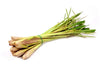 fresh organic citronella grass in a bunch