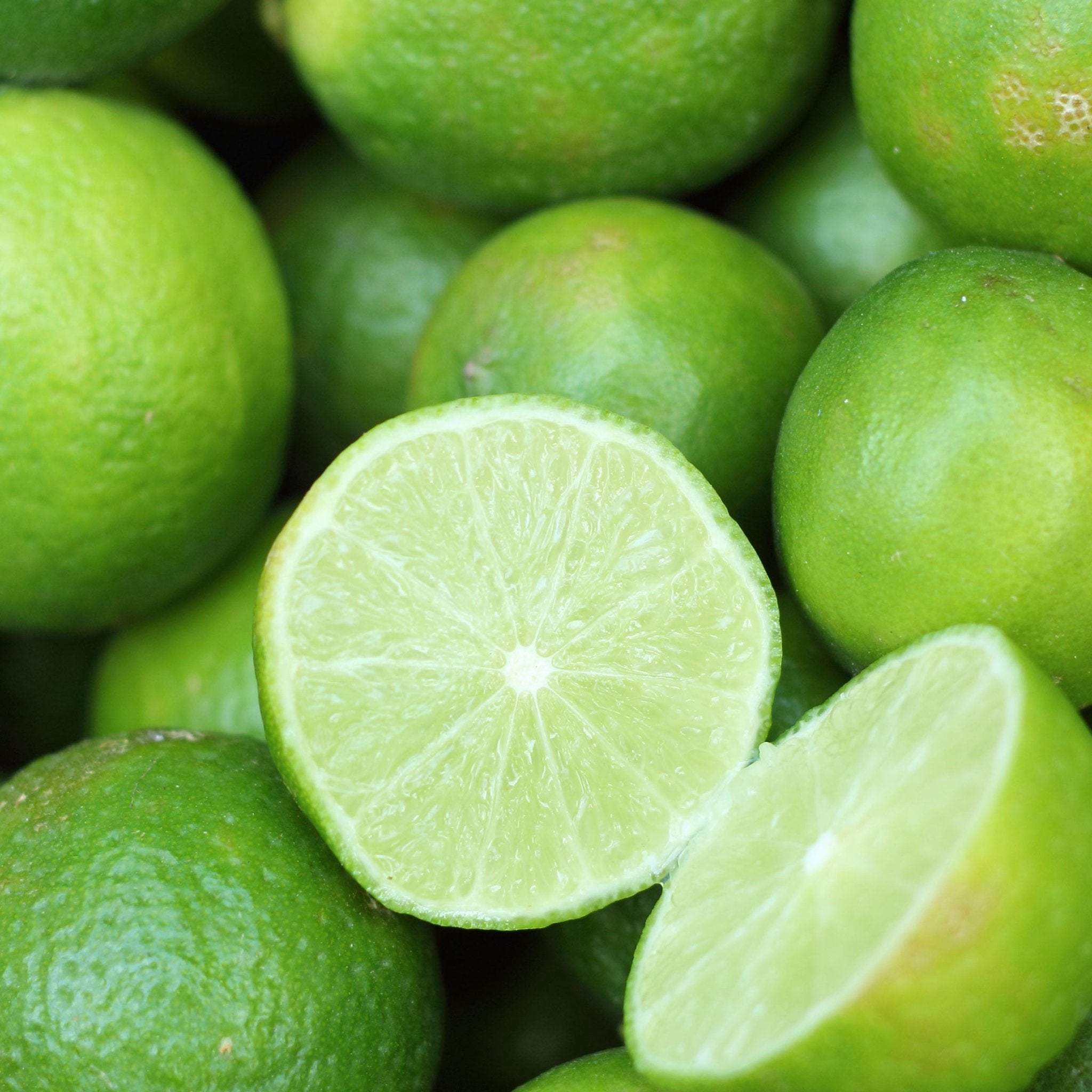 organic key lime fruit and slices