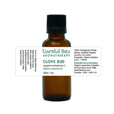 clove bud essential oil in bottle