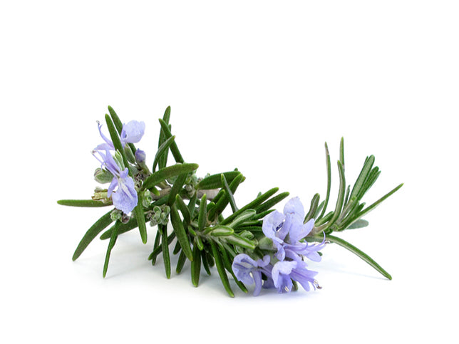 rosemary leaves and flowers